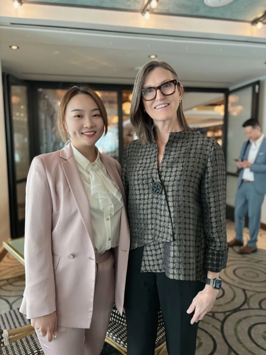 正在插入图像...