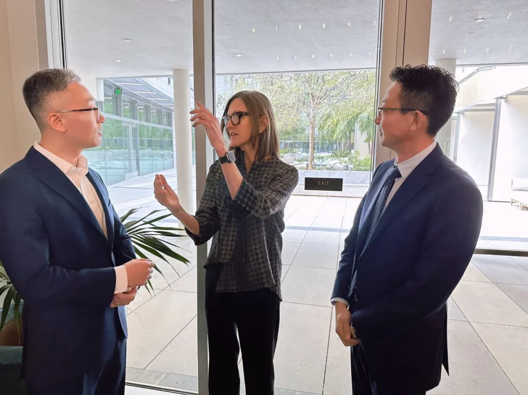 正在插入图像...